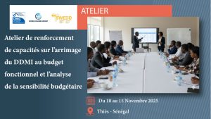 ATELIER-BSDD-TCHAD-NOVEMBRE-2025